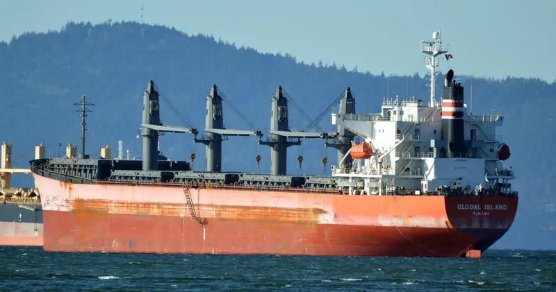 CAPTAIN CHERIF Bulk Carrier IMO 9310678 photo 5
