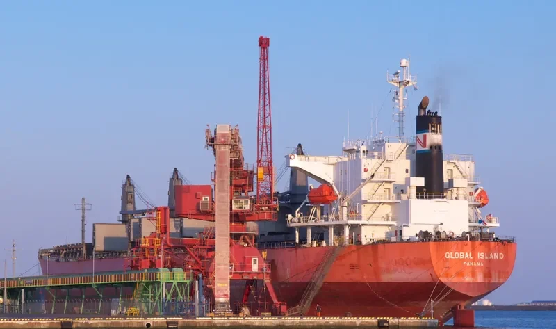 CAPTAIN CHERIF Bulk Carrier IMO 9310678 photo 10