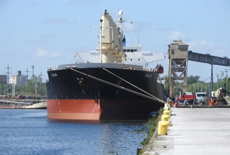 CALLIO Bulk Carrier IMO 9310721