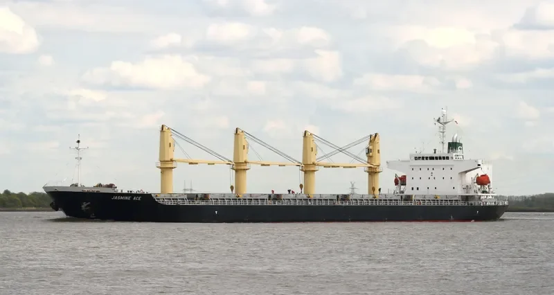 CALLIO Bulk Carrier IMO 9310721 photo 8