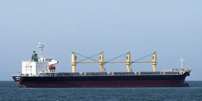 CALLIO Bulk Carrier IMO 9310721 photo 9