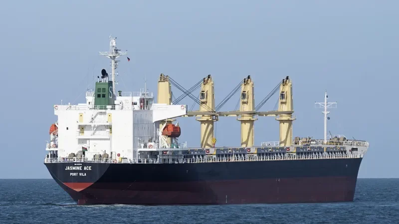 CALLIO Bulk Carrier IMO 9310721 photo 10