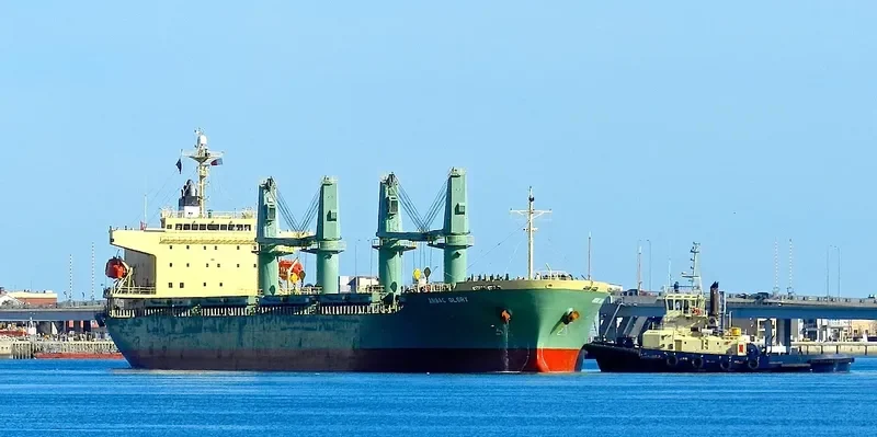 TAN BINH 234 Bulk Carrier IMO 9310733 photo 4