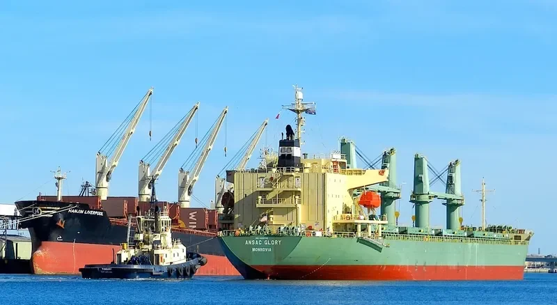 TAN BINH 234 Bulk Carrier IMO 9310733 photo 5