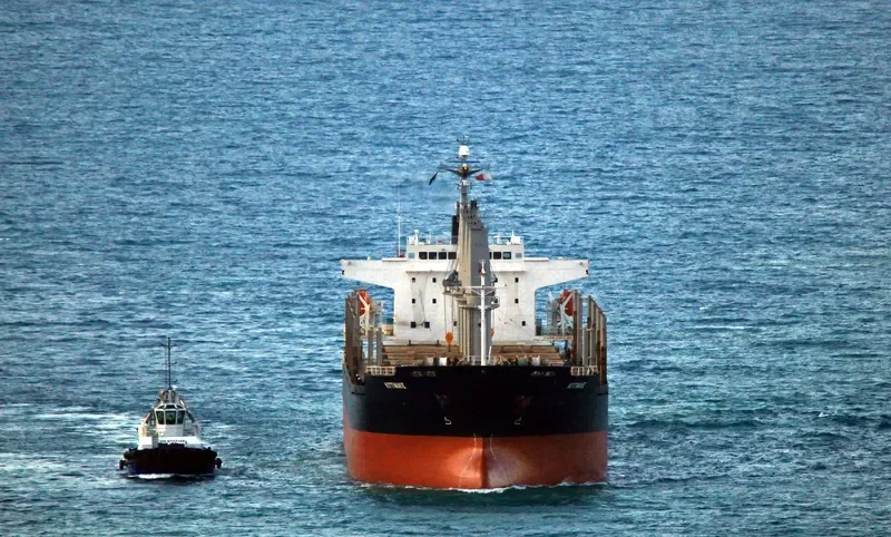 HTK FORTUNE Bulk Carrier IMO 9310769 photo 5