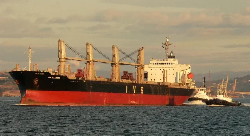 HTK FORTUNE Bulk Carrier IMO 9310769 photo 10