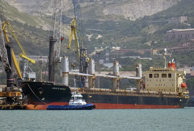 S BRONCO Bulk Carrier IMO 9311050 photo 5