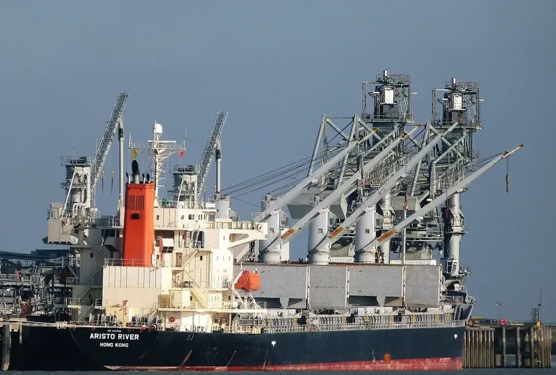 S BRONCO Bulk Carrier IMO 9311050 photo 6
