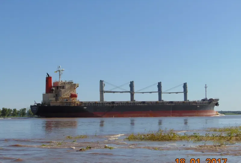S BRONCO Bulk Carrier IMO 9311050 photo 7