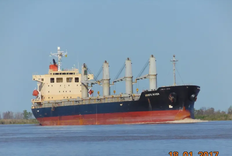 S BRONCO Bulk Carrier IMO 9311050 photo 8
