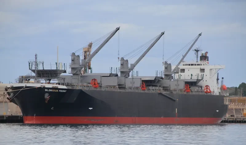 GLORIOUS PEONY Bulk Carrier IMO 9311139 photo 4
