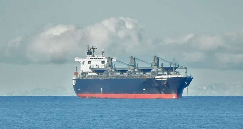 GLORIOUS PEONY Bulk Carrier IMO 9311139 photo 7