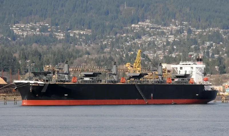 GLORIOUS PEONY Bulk Carrier IMO 9311139 photo 9