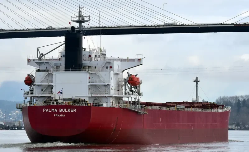 PALMA BULKER Bulk Carrier IMO 9311191
