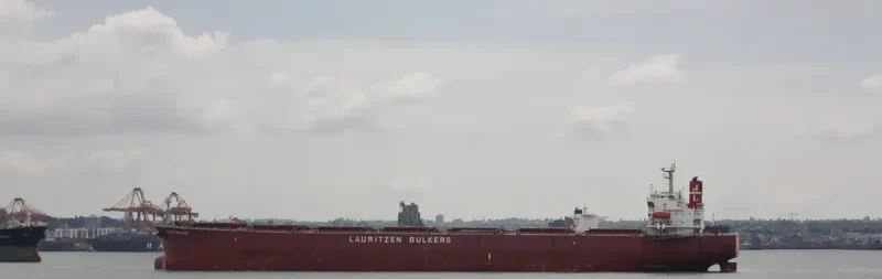 PALMA BULKER Bulk Carrier IMO 9311191 photo 9