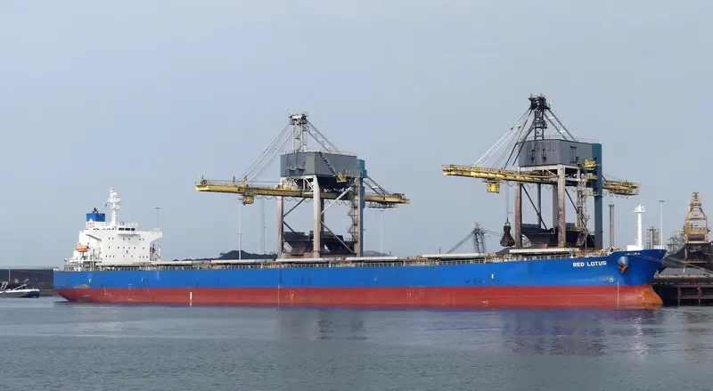 RED LOTUS Bulk Carrier IMO 9311206 photo 2