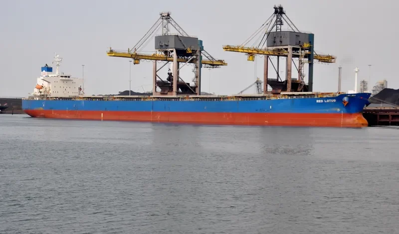 RED LOTUS Bulk Carrier IMO 9311206 photo 4