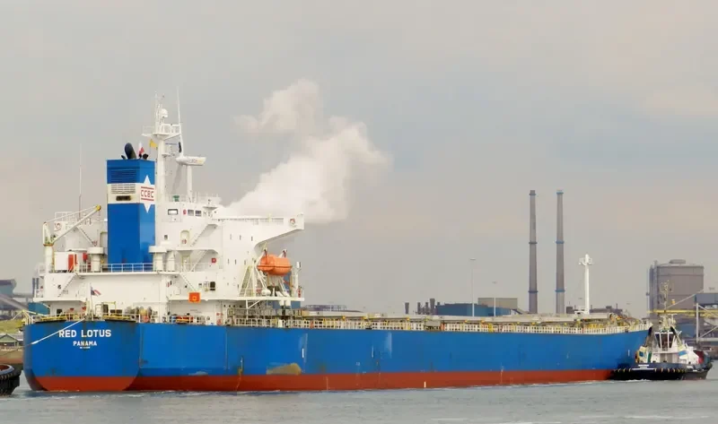 RED LOTUS Bulk Carrier IMO 9311206 photo 6