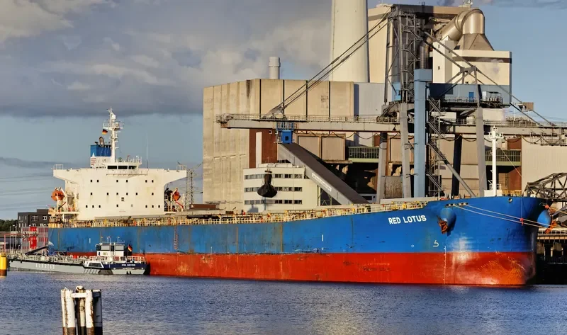 RED LOTUS Bulk Carrier IMO 9311206 photo 10