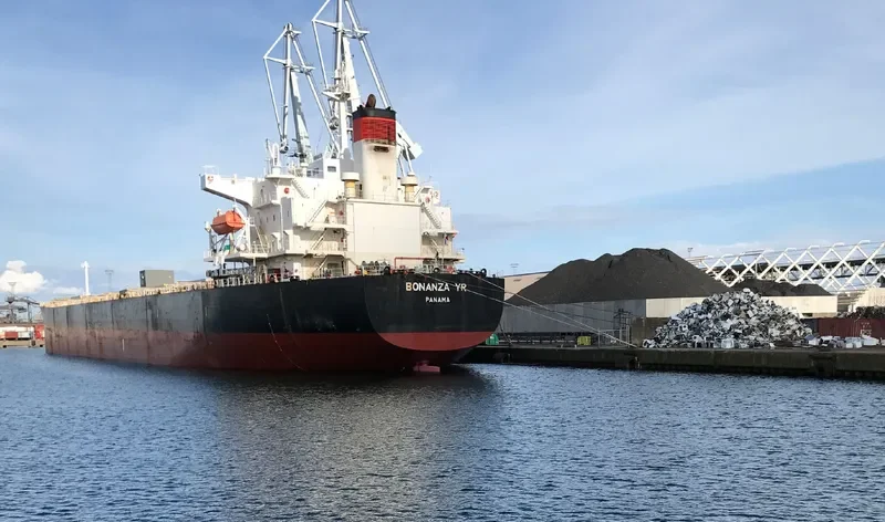 BONANZA YR Bulk Carrier IMO 9311218