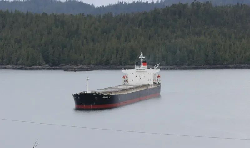 BONANZA YR Bulk Carrier IMO 9311218 photo 2