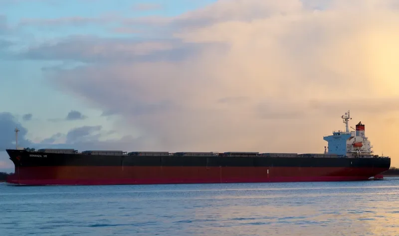 BONANZA YR Bulk Carrier IMO 9311218 photo 5
