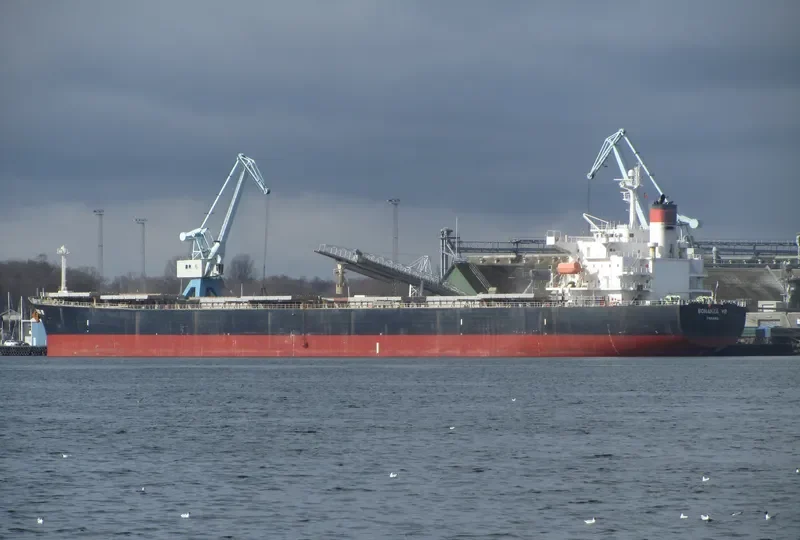 BONANZA YR Bulk Carrier IMO 9311218 photo 9