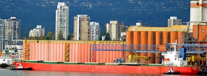 IONIC KATANA Bulk Carrier IMO 9311220 photo 3