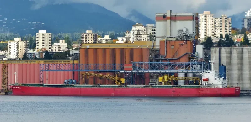 IONIC KATANA Bulk Carrier IMO 9311220 photo 6