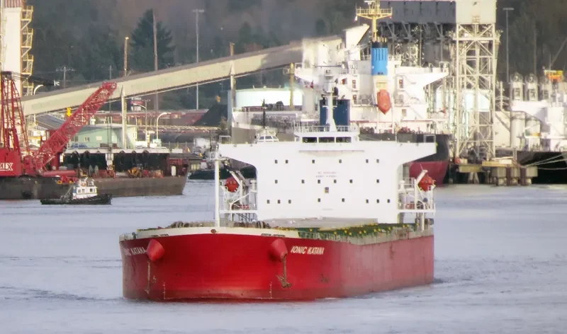 IONIC KATANA Bulk Carrier IMO 9311220 photo 7