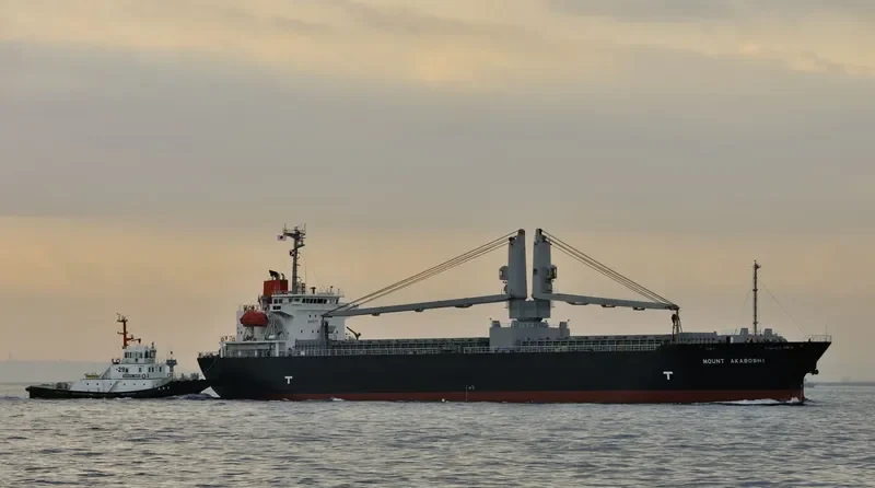 HOSEI 58 General Cargo IMO 9311244 photo 10