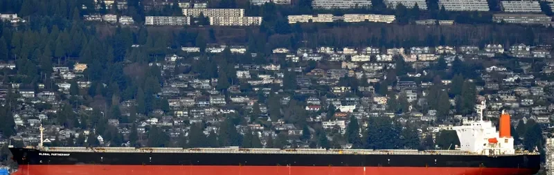 WINNING QUEEN Bulk Carrier IMO 9311282 photo 3