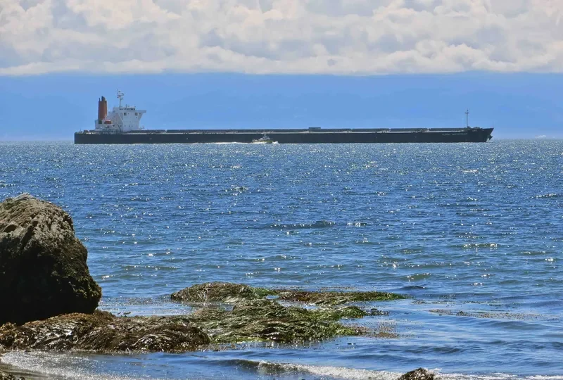 WINNING QUEEN Bulk Carrier IMO 9311282 photo 4