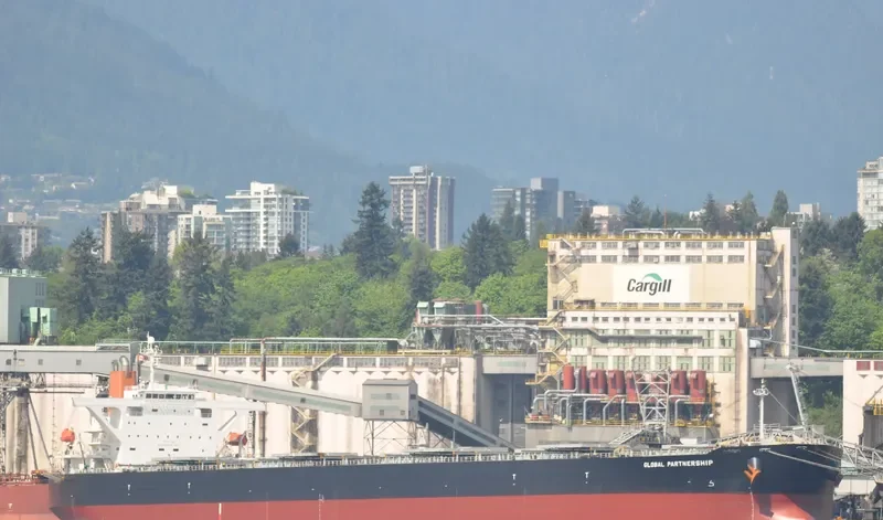 WINNING QUEEN Bulk Carrier IMO 9311282 photo 6