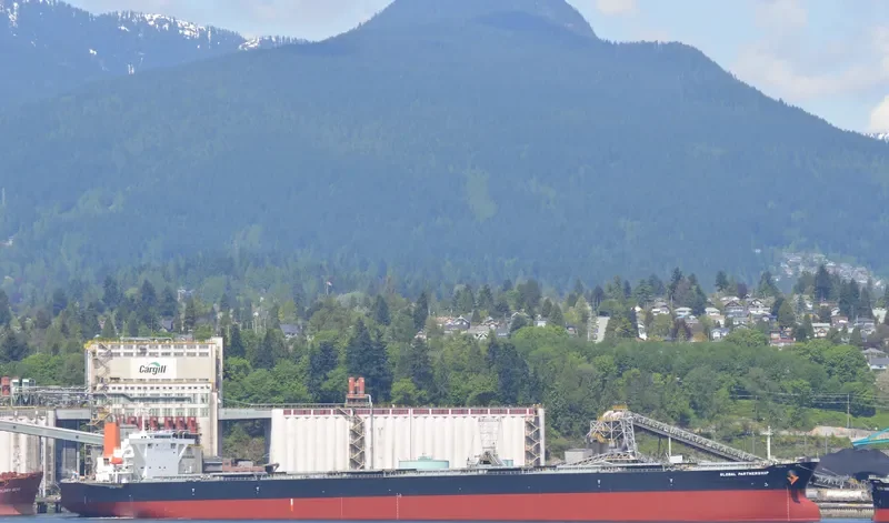 WINNING QUEEN Bulk Carrier IMO 9311282 photo 7