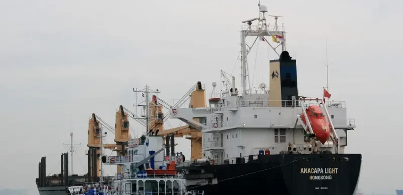 ANACAPA LIGHT Bulk Carrier IMO 9311311