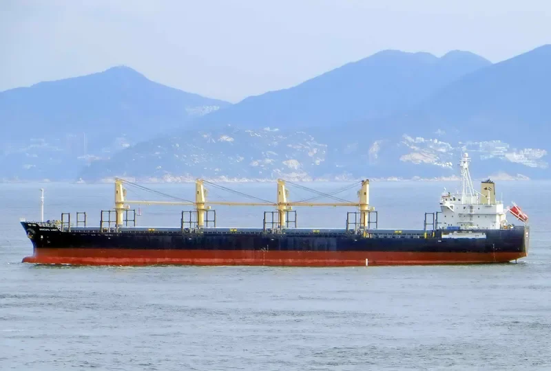 ANACAPA LIGHT Bulk Carrier IMO 9311311 photo 7