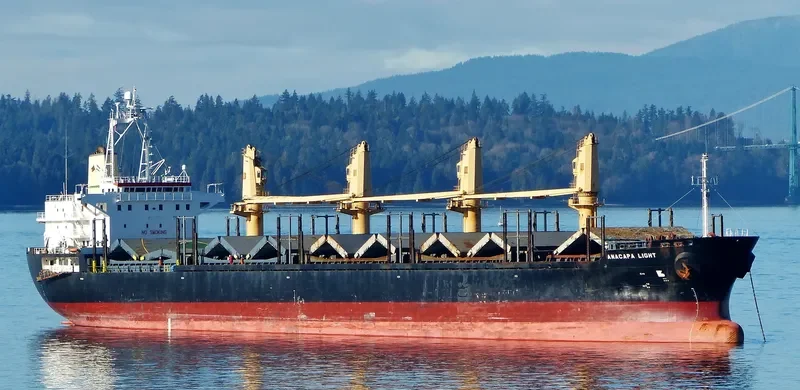 ANACAPA LIGHT Bulk Carrier IMO 9311311 photo 10