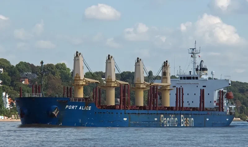 PORT ALICE Bulk Carrier IMO 9311402 photo 2
