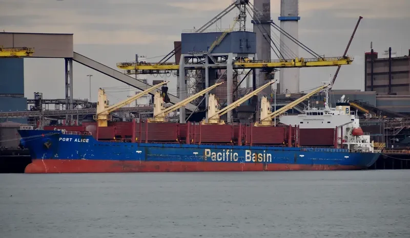 PORT ALICE Bulk Carrier IMO 9311402 photo 8