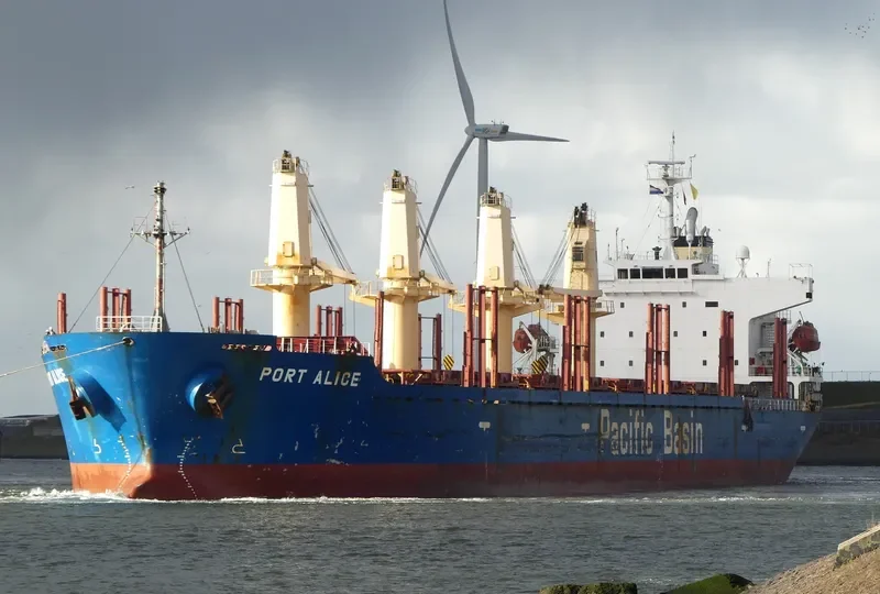 PORT ALICE Bulk Carrier IMO 9311402 photo 10