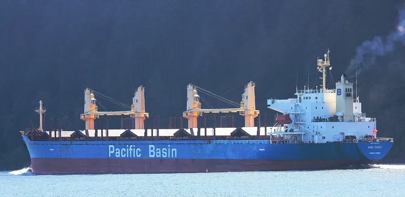 BASS STRAIT Bulk Carrier IMO 9311414