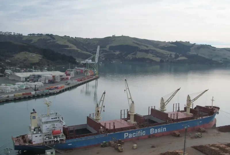 BASS STRAIT Bulk Carrier IMO 9311414 photo 3