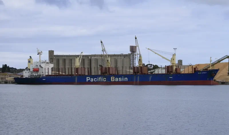 BASS STRAIT Bulk Carrier IMO 9311414 photo 8