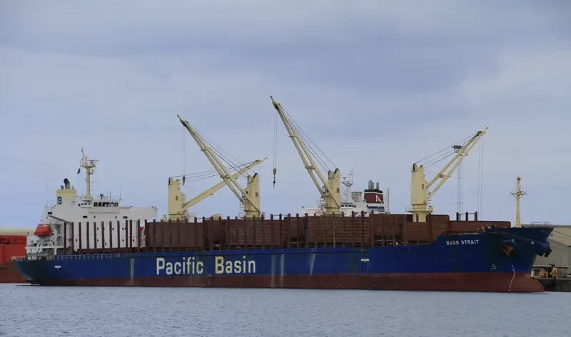 BASS STRAIT Bulk Carrier IMO 9311414 photo 9