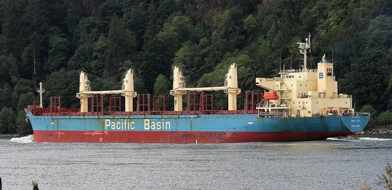CORIO BAY Bulk Carrier IMO 9311426