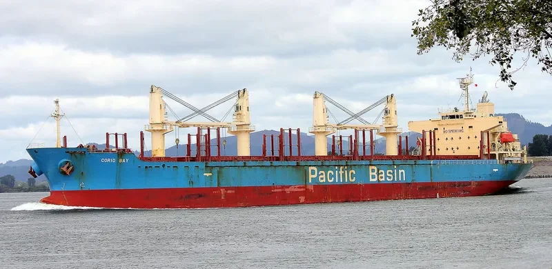 CORIO BAY Bulk Carrier IMO 9311426 photo 4