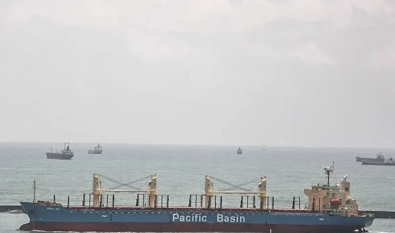 CORIO BAY Bulk Carrier IMO 9311426 photo 6