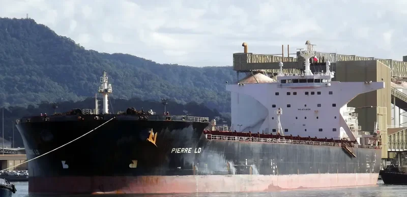 STAR LADY Bulk Carrier IMO 9311608 photo 3