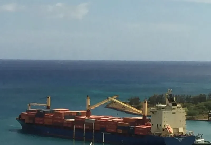 AS CARLOTTA Container Ship IMO 9311775 photo 7